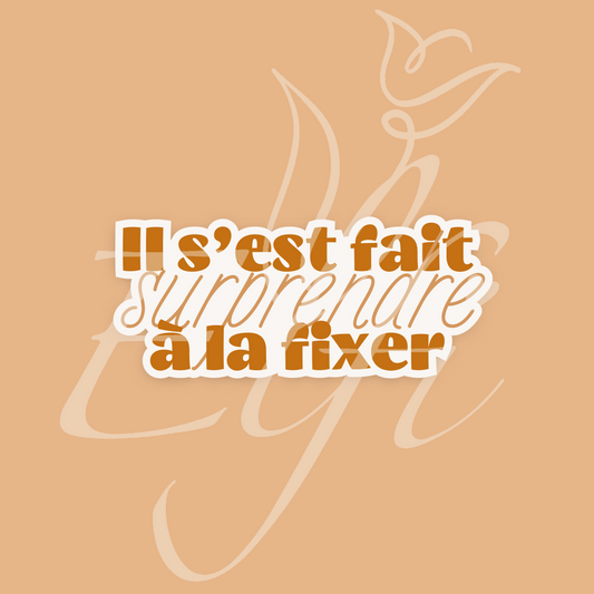 Sticker Numérique – Il s’est fait surprendre à la fixer