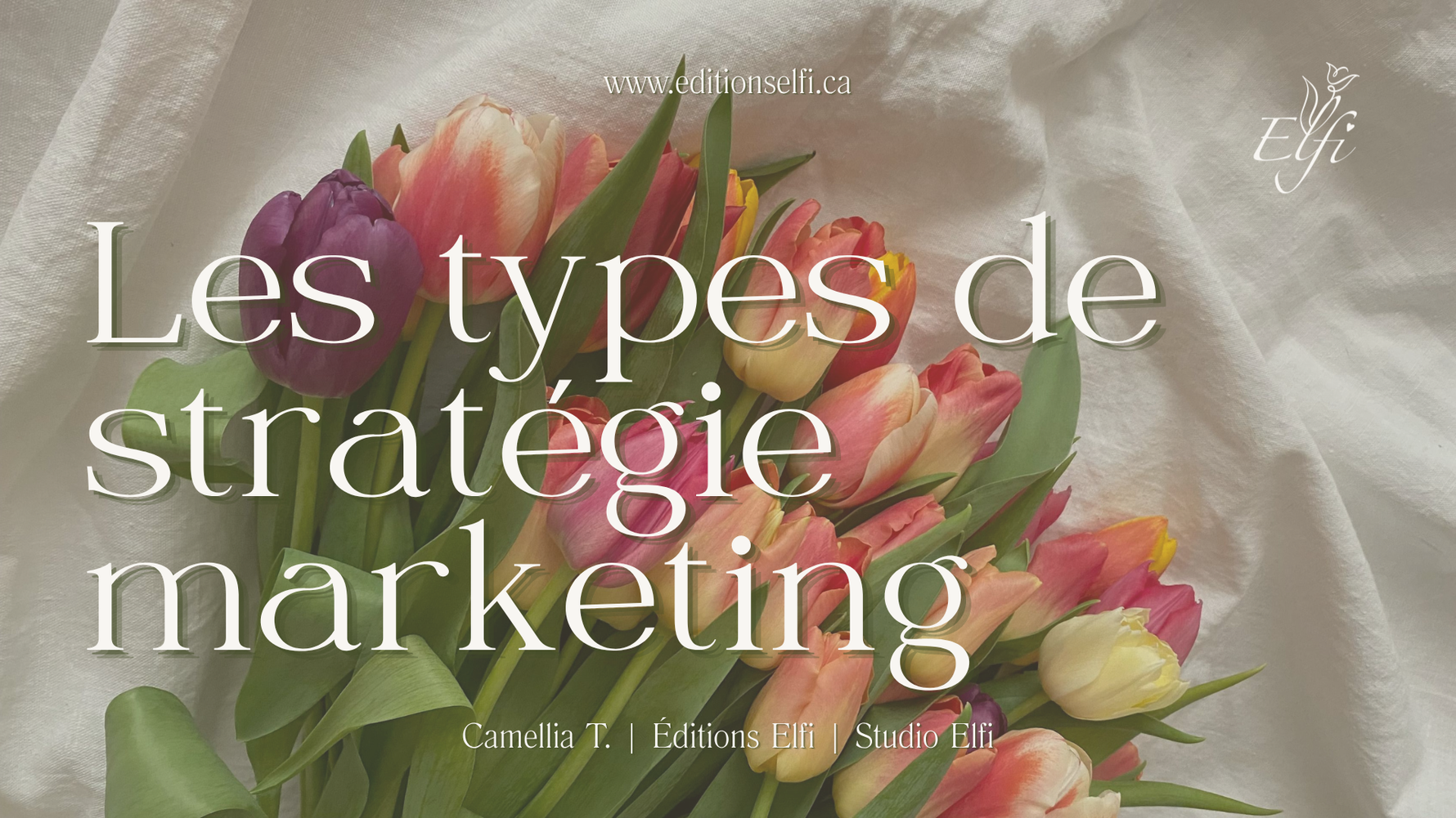 Les types de stratégie marketing