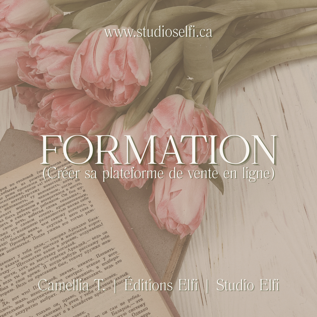 FORMATION — Créer sa plateforme de vente en ligne (Shopify)