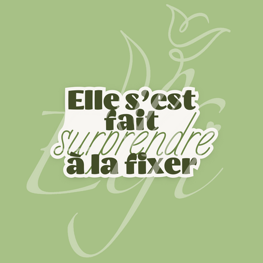 Sticker Numérique – Elle s’est fait surprendre à la fixer
